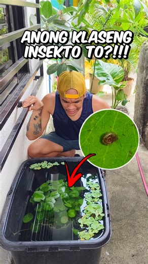 Gumawa ako ng mini fish farm pero may problema! (ANO TO NAKAKATAKOT?!!) | Kuya Dugs