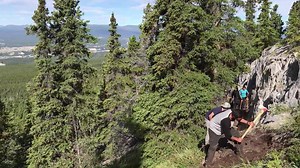 There's a new multi-use trail being built in Whitehorse. The trail will traverse the top Grey Mountain. The project is managed by the Youth Achievement Centre and employs local youth. Rob Horne, the program's facilitator explains the project. Read more about the trail project: www.cbc.ca/1.4233026 | CBC Yukon