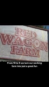 Halloween fun in Northeast Ohio: Conquering the corn maze at Red Wagon Farm in Columbia Station