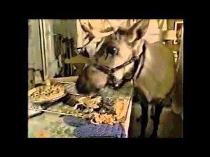 Prancer TV Spots