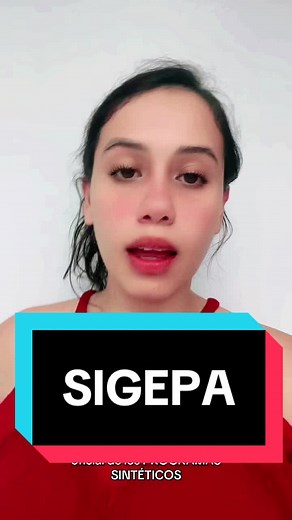 Descarga SIGEPA: Guía para tu Programa Analítico