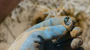 Turquoise Fever S01:E106 - Mo' Money, Mo' Problems