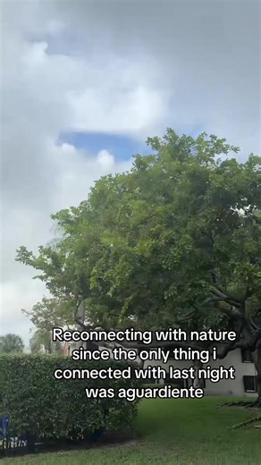 Reez (@whosreezyjr)’s videos with Cycad Slumber - Desmond Cheese