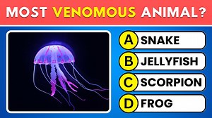106K views · 2.5K reactions | Only Real Animal Lovers Can Pass This 50-Question Quiz! 女 #AnimalQuiz #AnimalFacts #FunTrivia | Wisdom Time | Facebook