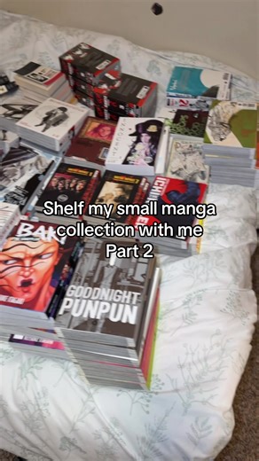 Beautiful Manga Shelving Ideas for Your Collection