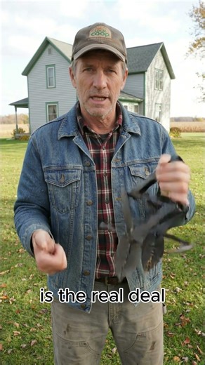 A Mole Trap That Actually Works (AND is Completely Hands-Free!) #moletrap #polaflex #pestcontrol
