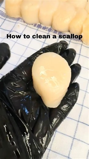 How to clean a scallop #finedining #cooking #scallop