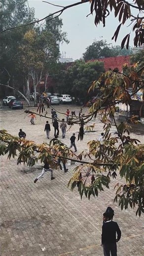 Nostalgic Old School MEMORIES #school #schoollife #memories #friends