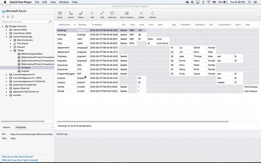 Customize table columns in Microsoft Azure Storage Explorer