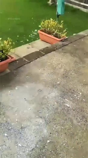 23K views · 895 reactions | 1 min interesting ice #satisfying #asmr #fyp #oddlysatisfying #icecream #ice #snow | Interesting Facts | Facebook