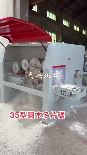 #Wood Processing Plant#Wood Worker#35-type Log Multi-Blade Saw
