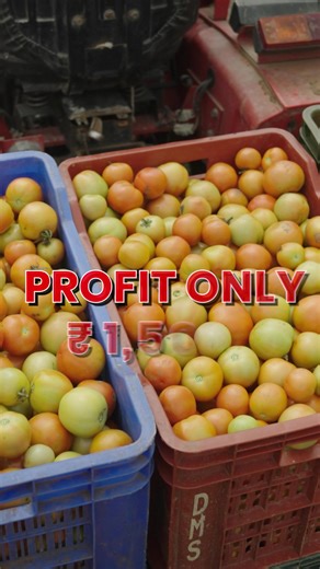 87K views · 1.9K reactions | 2500 kg Harveting 朗 अब लगाओ हिसाब #IndianFarmer #KisanSamman #CleanFoodMovement #ProudFarmer #FarmingWithRespect #tomatofarming #profitablefarming | Courses by Indian Farmer | Facebook