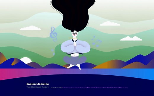 The DNA Repair System