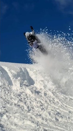 Snowmobile Whip