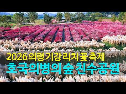 2026 Uiryeong Gigang Richi Flower Festival | 4K Drone Footage