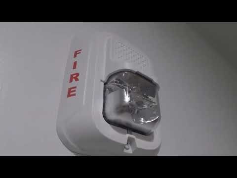 Testing Yet Another Emergency Light in a Bathroom+ System Sensor L-Series Strobe