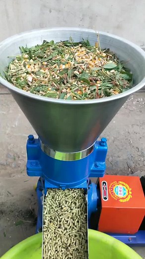 Feed Pellets Making Machine for Livestock Nutrition