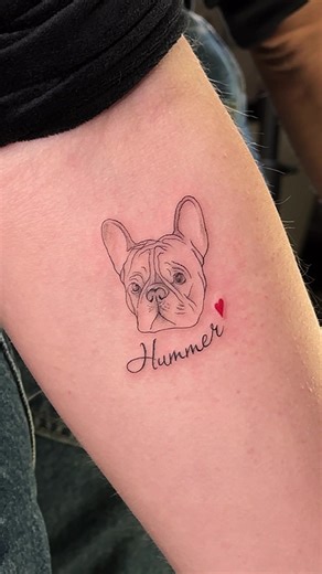 Індивідуальні тату по вашим фото у Запоріжжі🫶 @Hummer_frenchies_bulldog #запоріжжятату #запоріжжя #татузп #запорожье #собаки