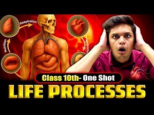 Life Processes Complete Chapter 🔥| CLASS10 Science | NCERT Covered | Prashant Kirad