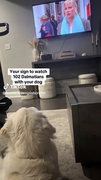 Watch 101 Dalmatians with Your Dog Today