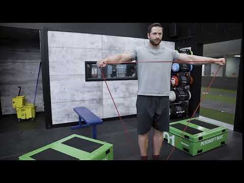 Lateral Raise Band Isometric Hold