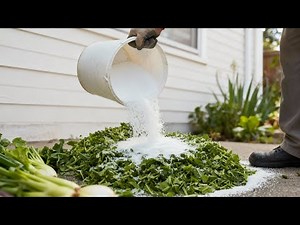 Mix grass clippings with salt! Get free energy you never thought possible