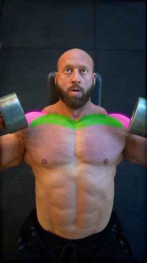 3.4K reactions · 6 comments | Know the difference... Dumbbell press 欄 ----------------------------- Check out my #musclebuilding training programs, link  Bio | Petar Klančir IFBB Pro | Facebook