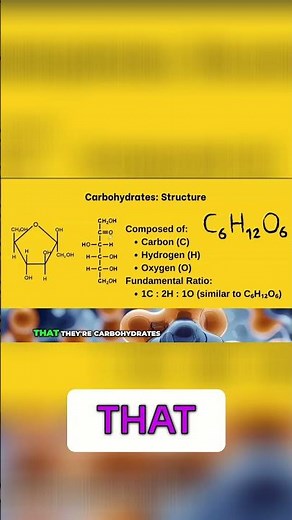Carbohydrates: Unveiling Their Structure and Elements