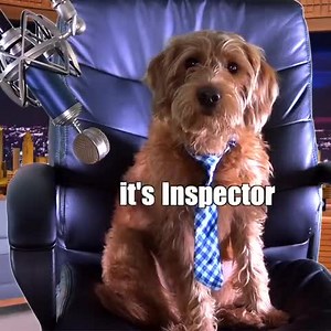 More episodes on our YouTube channel - KLR Productions !! | KLR Productions