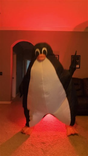 Flipper (@flipperdapenguin)’s video of tiktok dances