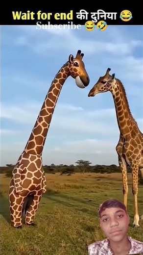 janvaron ke kuchh ka gajab kar Name Hai 🤣🤣 #youtubeshorts #funny #comady #shorts