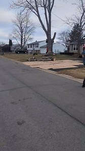 4.5K views · 27 reactions | Tree removal Reddick Lane | OAKES TREE SERVICE | Facebook