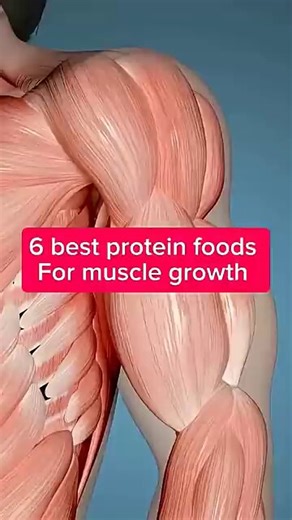 6 Best Protein Foods For Muscle Growth