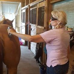 Continuous Wave Vs Pulsed - VetLaser 3000