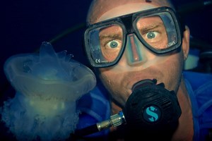 Nitrogen Narcosis: Symptoms & How to Prevent it