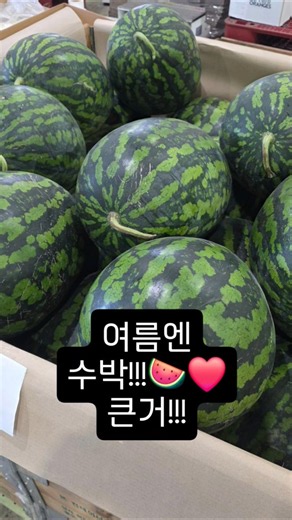 #철이네과일가게 #안산농수산물도매시장 #안산과일맛집 #안산과일도매 #안산과일