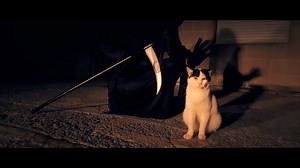 6.2K views · 112 reactions | Given that today is Halloween we just had to release this footage of a visitor stalking the campus last night in celebration of this day.  #UM #Undead #CampusLife #GrimReaper #Halloween #Zombie #Cats | University of Malta | Facebook