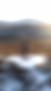 Merry Christmas, EVERYONE!!!!! | Munro Bagpiper