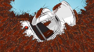 Deadspin | How To Clean A Roach-Infested Coffee Maker