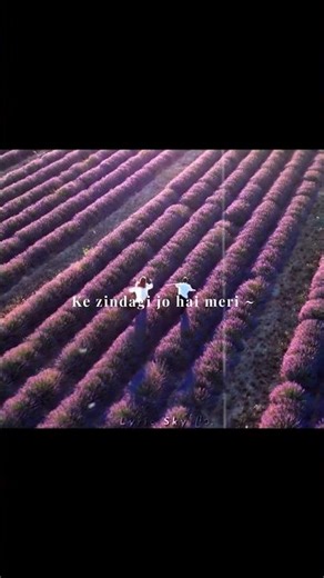 Tera Fitoor – Arijit Singh | Aesthetic Lyrics Video #AestheticShorts #LyricsShorts