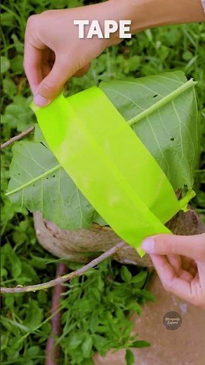 Cheap & Easy Outdoor Cap DIY 🧢🌲😱