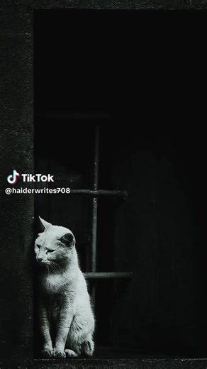 mano bilii (@mano.bili..2)’s videos with original sound - mano bilii