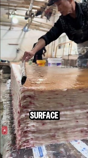 The Fascinating Process of Making Paper From Pulp