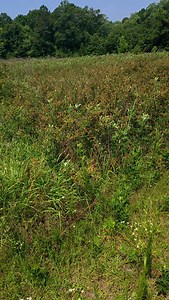 16 reactions | Househunters: Everglades Outpost Edition! First house down, lol more to go! 3/2 move in ready with 32 acres and the property is beautiful ! | Everglades Outpost | Facebook