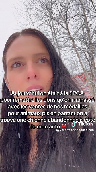 Chienne abandonnée trouvée devant la SPCA Laurentides