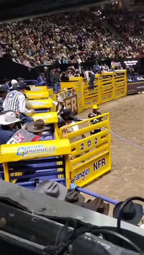 94K views · 519 reactions | 963 Doze You Down (Rafter G Rodeo) made...