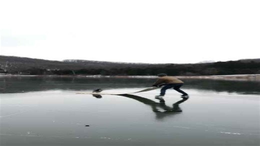 Dragging Your Dog on Ice? This Guy’s Frozen Fiasco Is Priceless