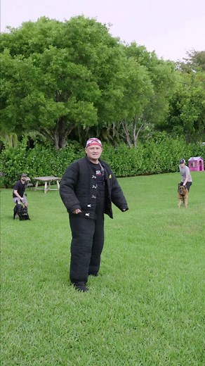 55K views · 1.2K reactions | I Took a Bite From Two Dogs at the Same Time #dog #dogs #puppy #bitework #canecorso #germanshepherd #gsd #belgainmalinois #doglover #fyp | American Standard Dog Training | Facebook