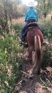 Well he took a deep breath, climbed on and rode the pony through the obstacle course. I couldn’t be more proud of all he has overcome and accomplished. We didn’t step up on big tire as I thought that would have been asking a lot of the pony but he did all the others. Walking him through it first sure made this go a lot easier and safer! And this is only about 10 rides😳😀. We must give credit to the pony too. He’s a good minded little bugger. | Enck's Training LLC