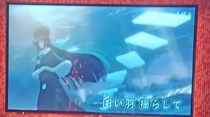 5月5日唱emotional flutter